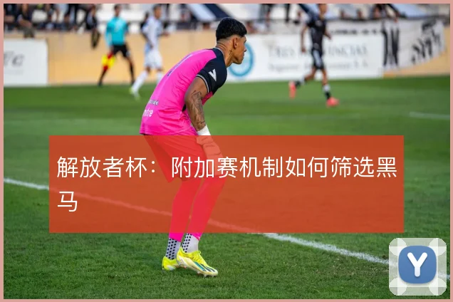 解放者杯:附加赛机制如何筛选黑马