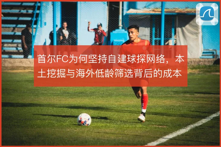 首尔FC为何坚持自建球探网络,本土挖掘与海外低龄筛选背后的成本逻辑